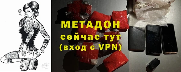 индика Богородицк