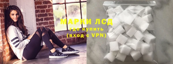 индика Богородицк