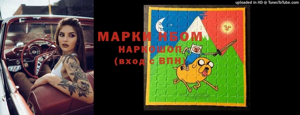 молекула духа Бородино