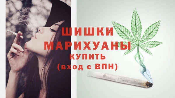 молекула духа Бородино