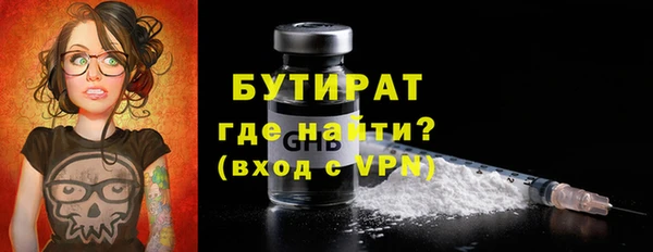 индика Богородицк