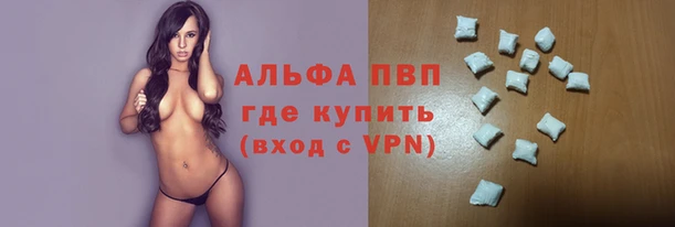 молекула духа Бородино