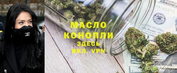 индика Богородицк