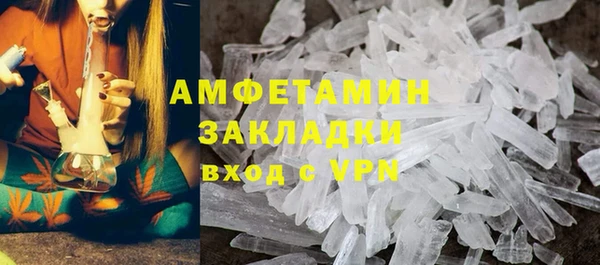 индика Богородицк