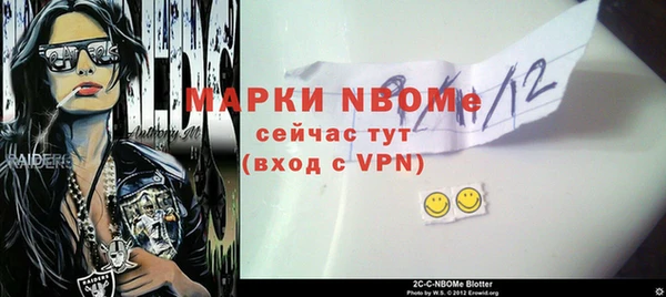 молекула духа Бородино