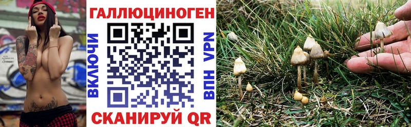 Галлюциногенные грибы MAGIC MUSHROOMS  Надым 